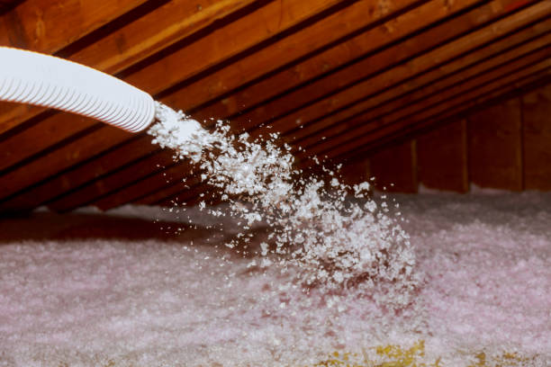 Trusted Galena, IL Insulation Installation & Removal Experts